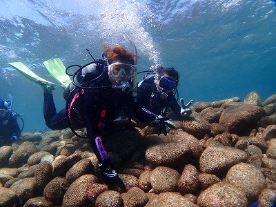 今日の大瀬崎ダイビングは最高！！透明度良し、魚多い、楽しい