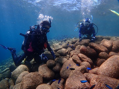 今日の大瀬崎ダイビングは最高！！透明度良し、魚多い、楽しい