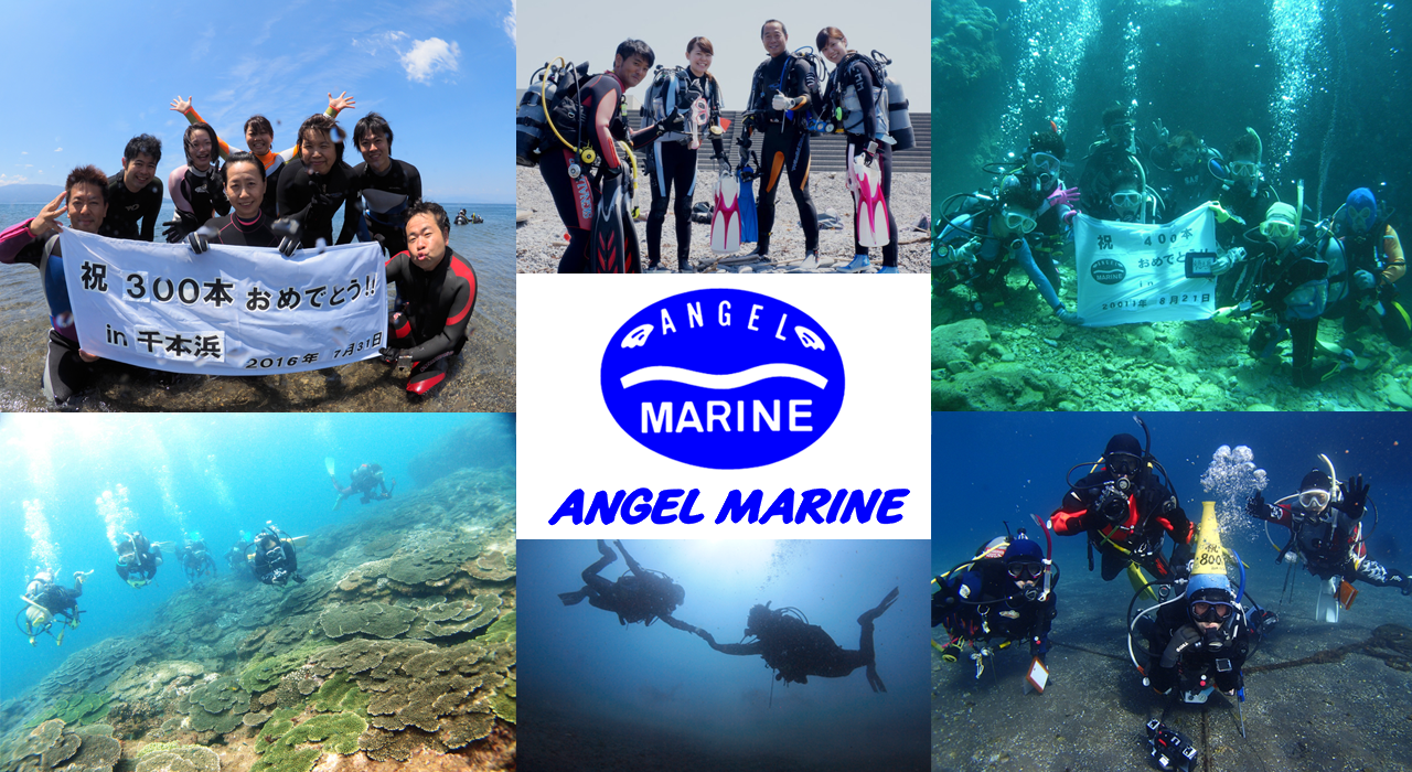 店舗情報 | 沼津のダイビングスクール“エンジェルマリン”