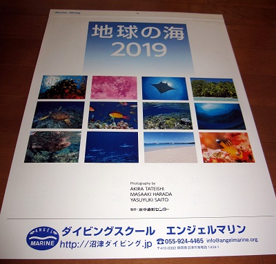 エンジェルマリン　カレンダー2019　が出来ました