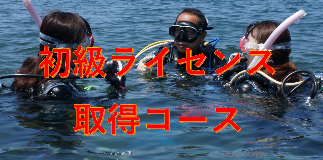 ODｺｰｽ01