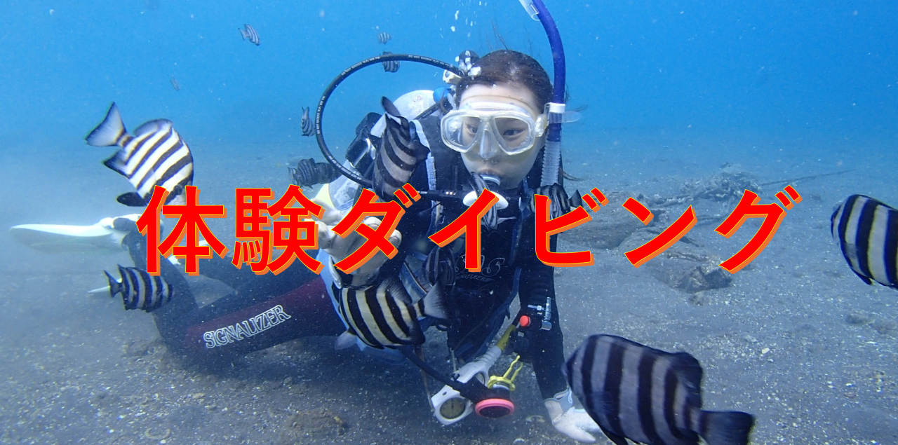 体験コース01