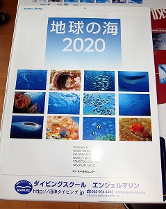 エンジェルマリンのカレンダー2020年版出来ました。